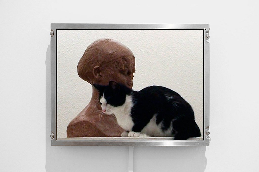 installation view - Selbstporträt für die Katz [Selfportrait for the cat/for nothing]