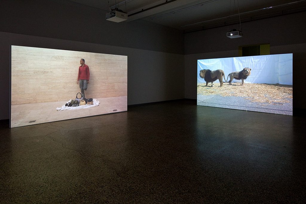 installation view