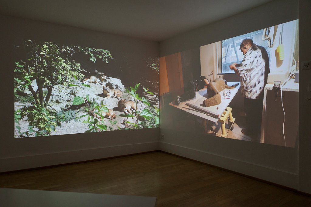 installation view – How to sleep among wolves 1