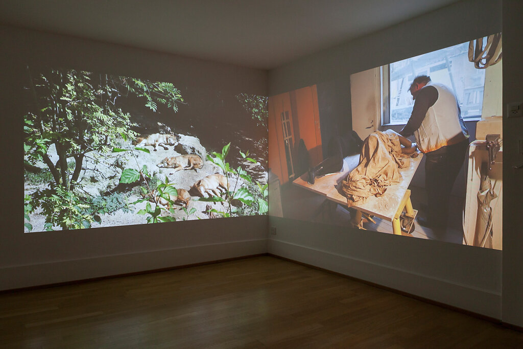 installation view – How to sleep among wolves 1