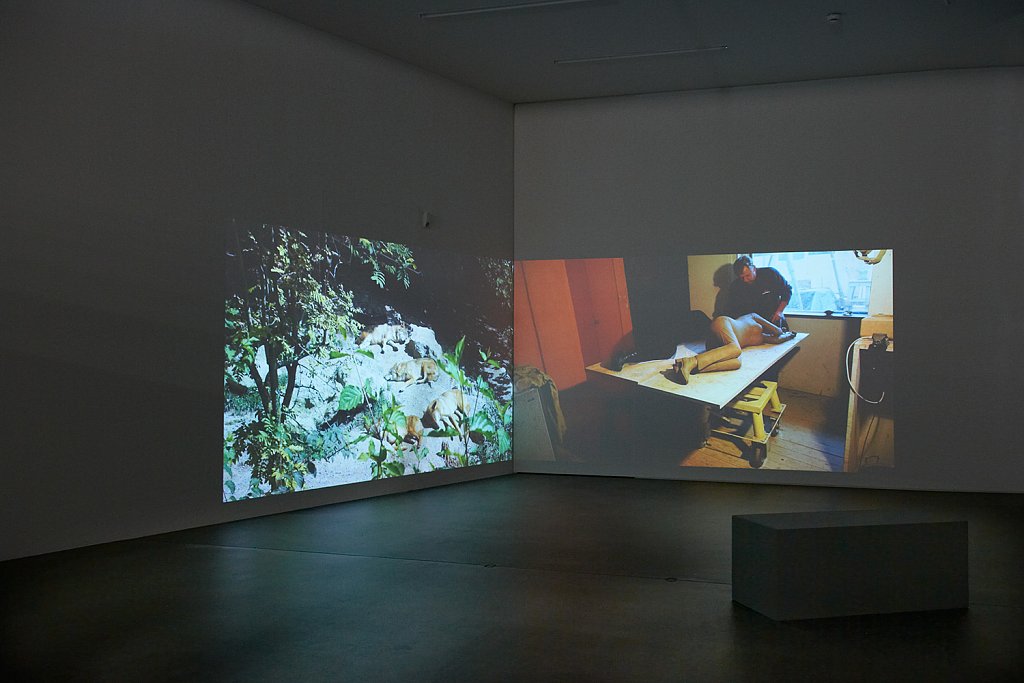 installation view – How to sleep among wolves 1