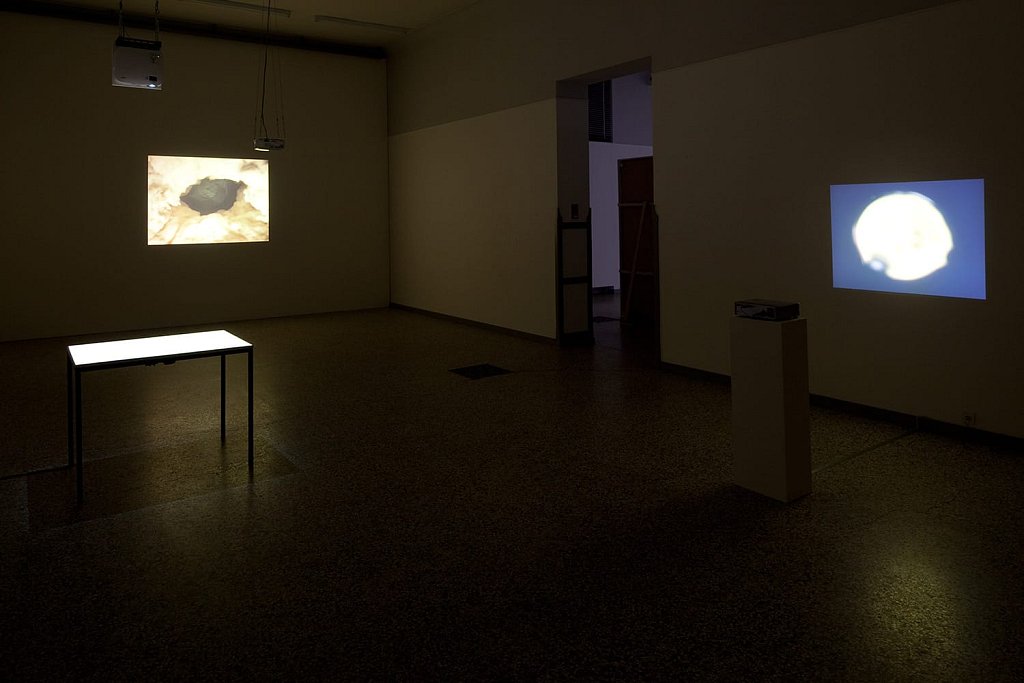 installation view – Le trou dans la table [The hole in the table] / Closing eye / Lemon juice