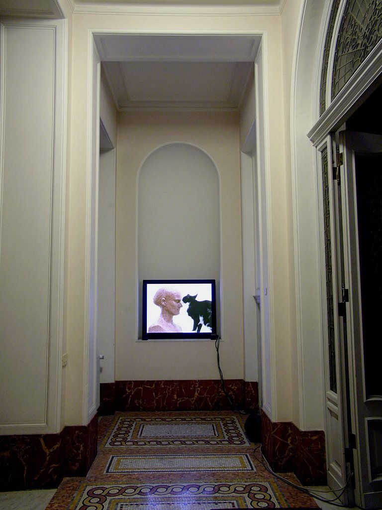 installation view – Selbstporträt für die Katz [Selfportrait for the cat/for nothing] 