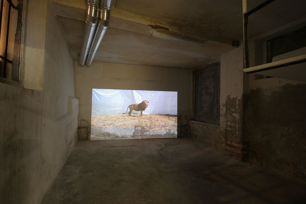 installation view – Il nonno [The grandfather]