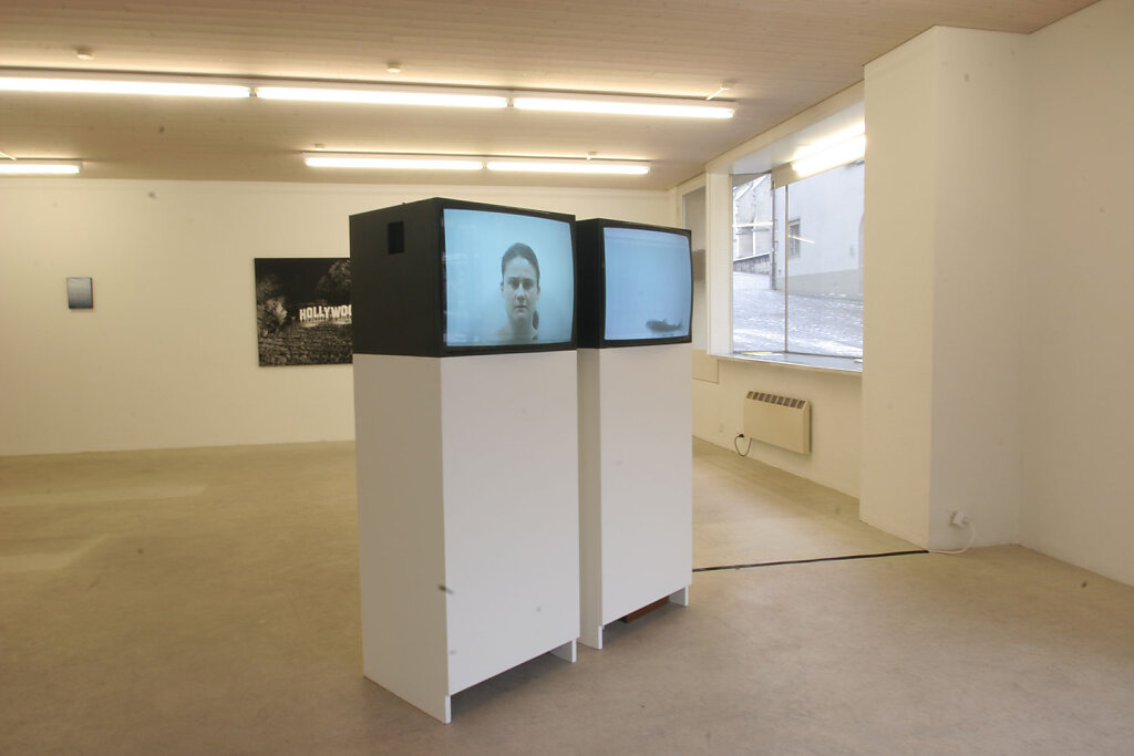 installation view – Die Forelle [The trout]