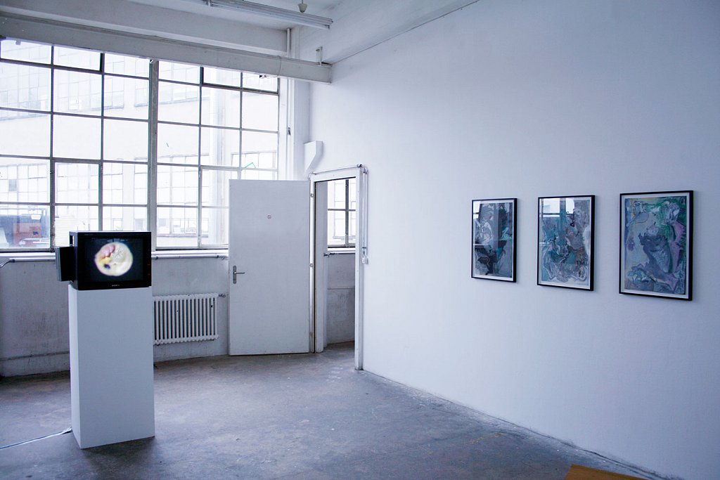 installation view – Lemon juice