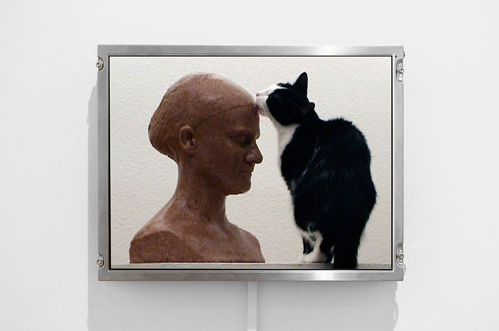 installation view - Selbstporträt für die Katz [Selfportrait for the cat/for nothing]