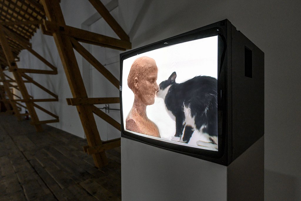 installation view – Selbstporträt für die Katz