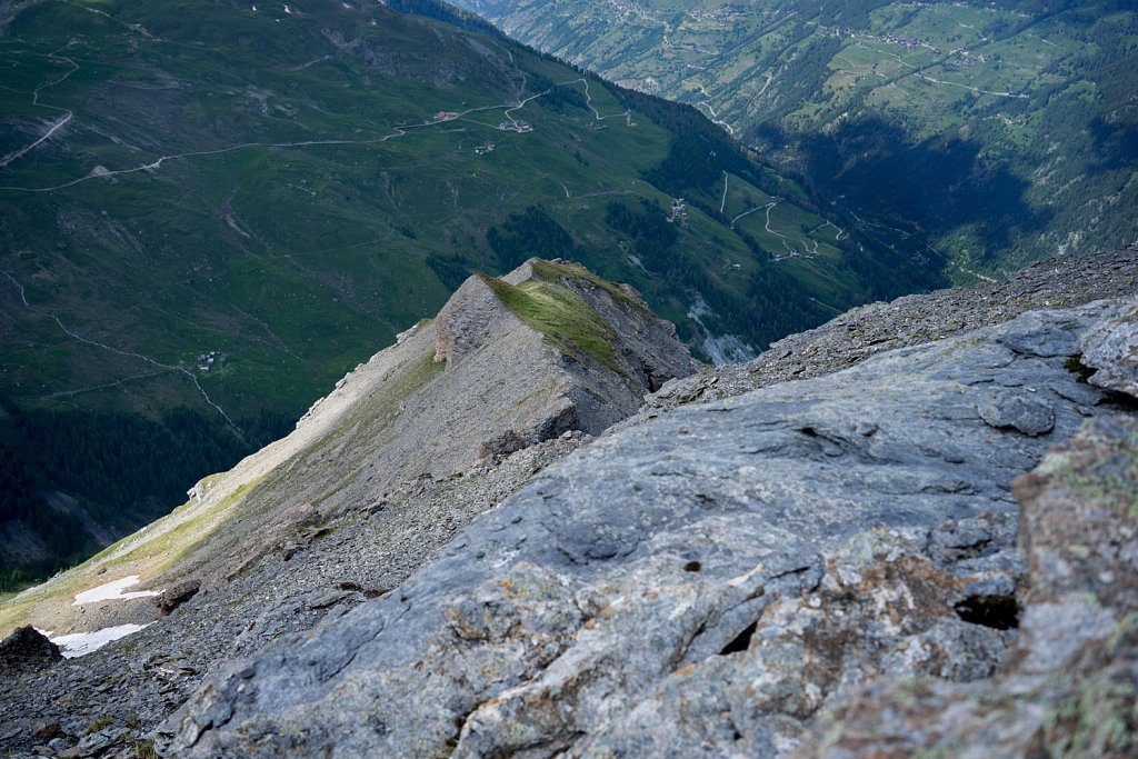 Wolf M06, † 25.08.2000, Val d’Hérens