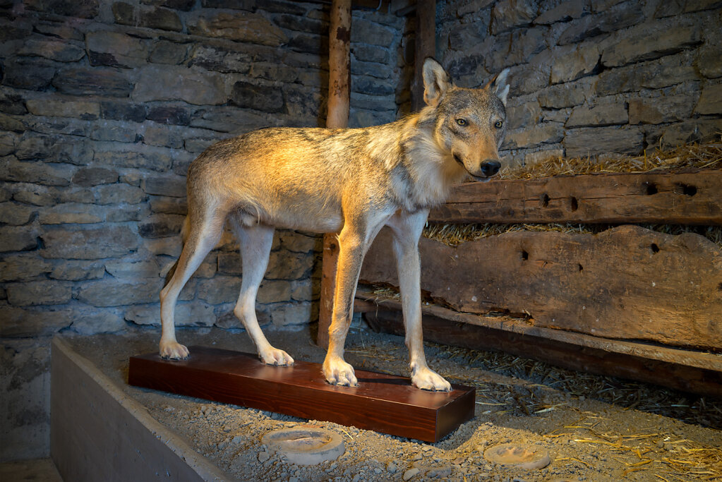 Wolf M16, Musée d’alpage, Colombire