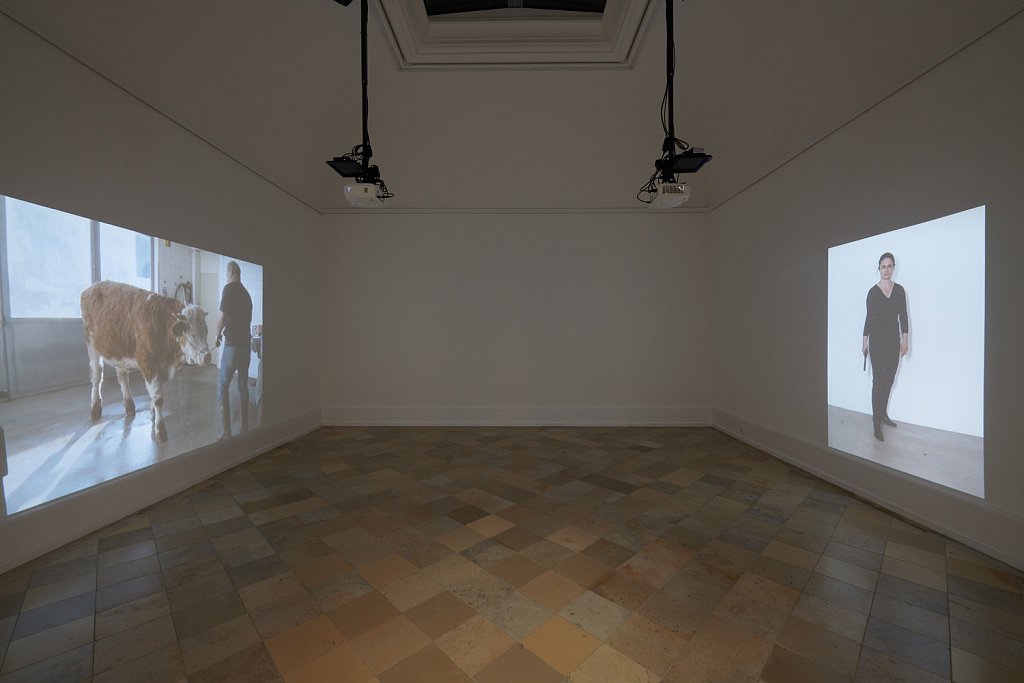 installation view – If looks could kill