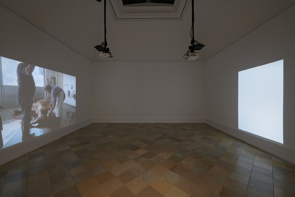 installation view – If looks could kill