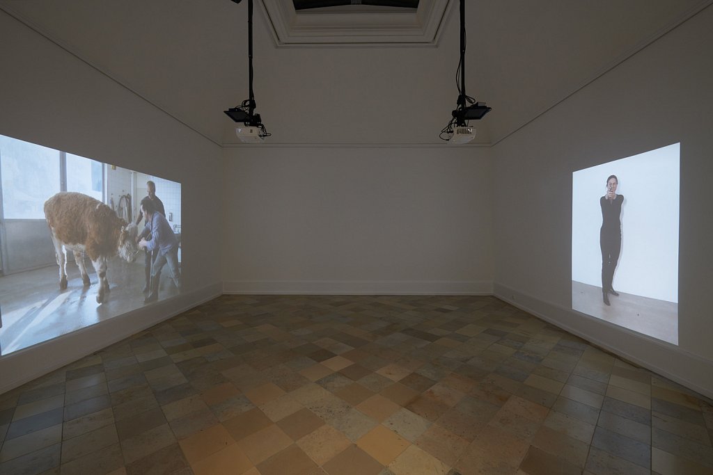 installation view – If looks could kill