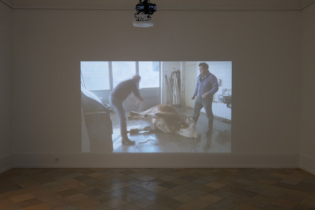 installation view – If looks could kill