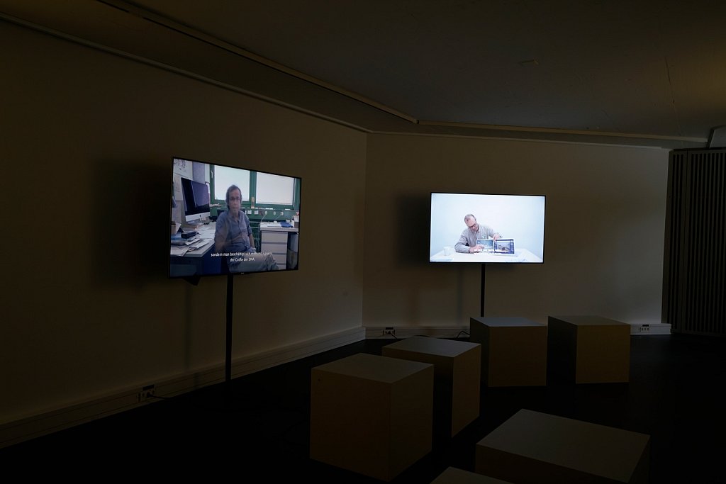 installation view – Qui a vu le loup