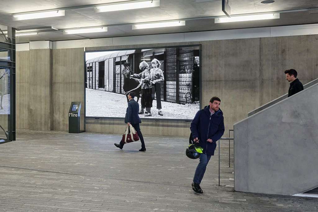 installation view - In the Same Place