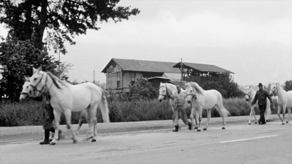 video still - In the Same Place